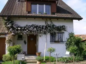 B&B im Müsli