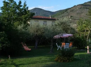 Gli Olivi
