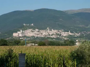 La Strada Di Francesco DAssisi