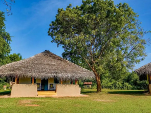 Puranagama Eco Retreat Tangalle