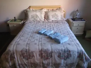 Zm Suites