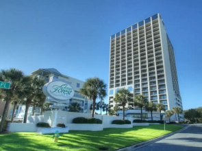 Ocean Forest 904