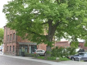 Altes Zollhaus Stralsund