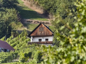 Weinberg Lodge - Kellerstöckl