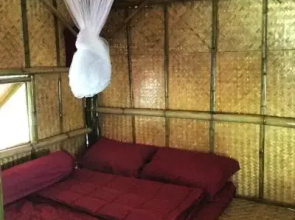Cool Bananas Homestay