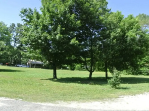 Gold Pine Inn Motel