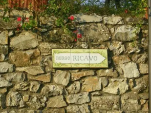 Lodge Ricavo