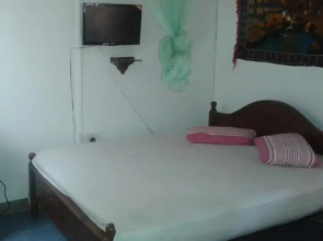 Lion Inn Guest House