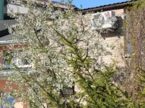 Nikole apartamentai