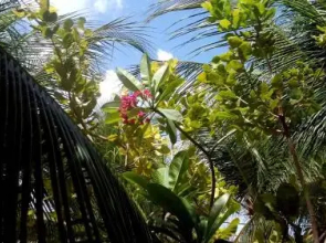 Pousada Aquarela