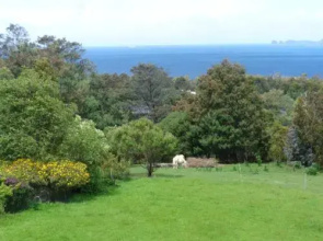 The Eagles View