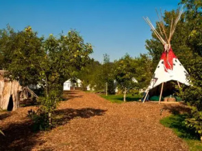 Plush Tents Glamping