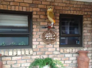 The Owl House
