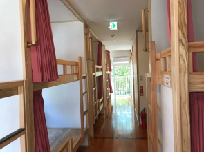 Hostel Panda No Negura