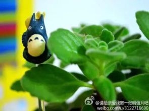 Zhuhai Journey House Hostel