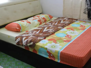 Sofiya Homes