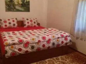 Danica House