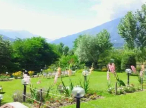 Forest Hill Resorts