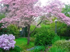 Dangal Gardens