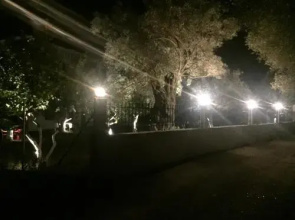 Sapfo studios