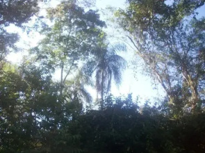 La Perla de la Selva Lodge