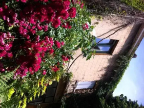 Guest House Backhouse
