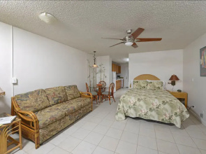 Noelani #219 by RedAwning