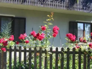 Guest House Kmetija