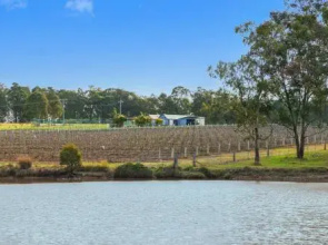 Ironbark Villa 5