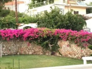 Costmari