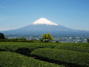 Hotel Tomioka-ya