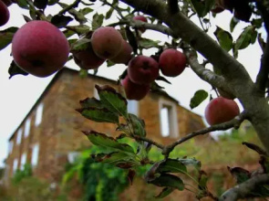 Quinta de Gildinho