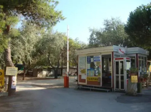 Campeggio Tellina