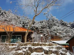 Blue Sky Pension