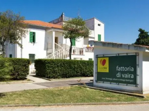 Fattoria di Vaira