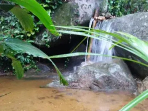 Bambu Brasil Suites Ilha Grande