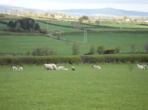 Valley View Country House Bed and Breakfast