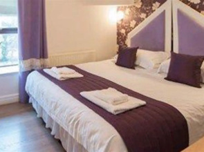 Orchid Suite