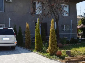 Ameli Garden