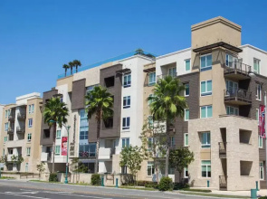 OC Luxury Unit 1A-SWD