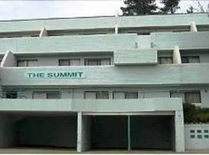 Summit 15