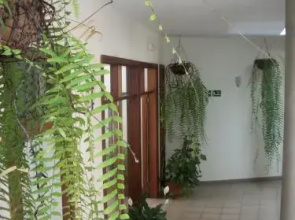 Aparthotel Triana II