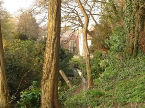 The Oaks