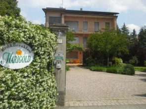 B&B Merate Marigold