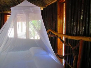 Chaya Maya Jungle Lodge