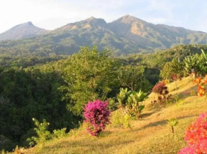 Pondok Senaru Lombok