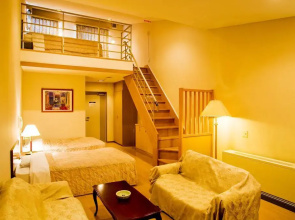 Hotel Morinokaze Sawauchi Gingakogen