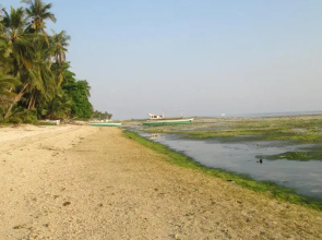 Treasure Island Beach Bungalows