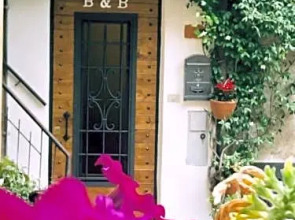 B&B Mari