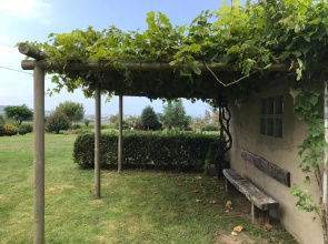 Apartamentos El Campo
